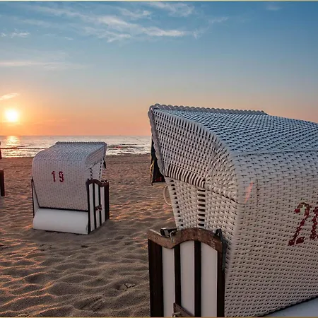 Bansin Seepferdchen 1