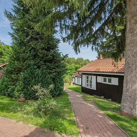 Bansin Seepferdchen 1 * Heringsdorf (Usedom)